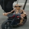 seoanikkumar
