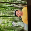 Essi