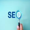 SearchPilot2