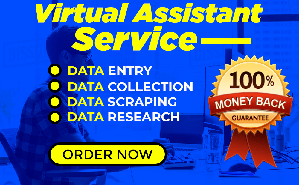 be your virtual assistant for data entry and web research