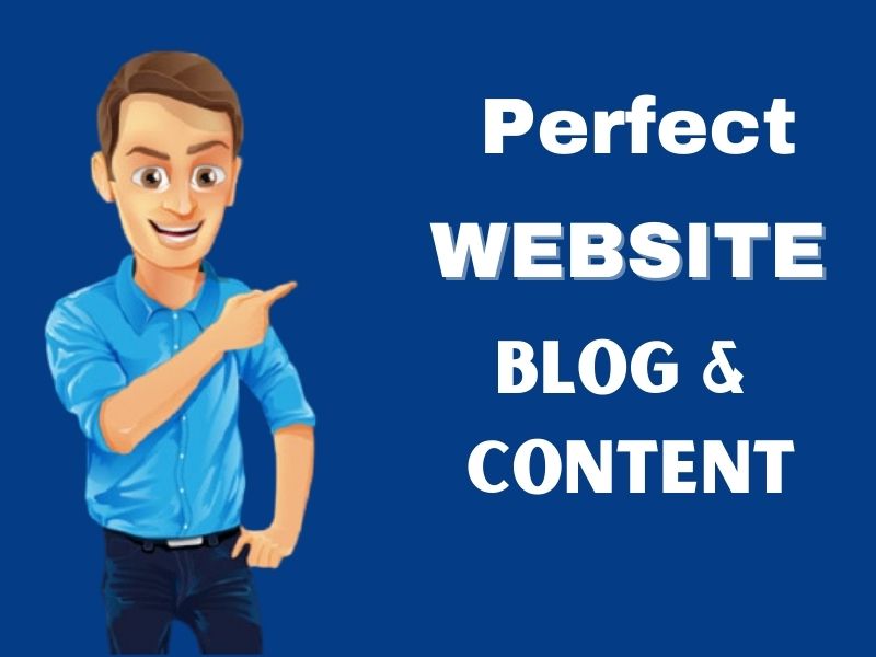 I will write Professional SEO friendly unique blog and content in 1000 words