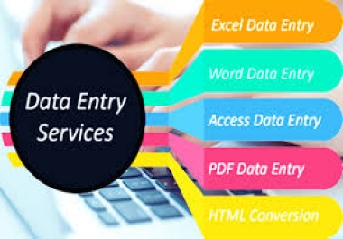 I will do data entry,  copy paste,  typing,  excel data entry