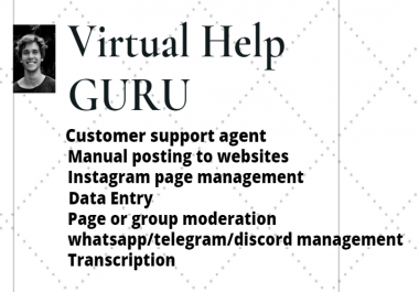 I will be your virtual assistant guru.