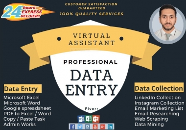 I will do data entry,  data mining,  data collection