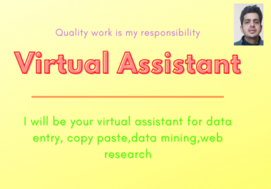 I will be your virtual assistant for data entry copy paste web research