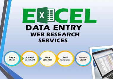 I will do efficient data entry work