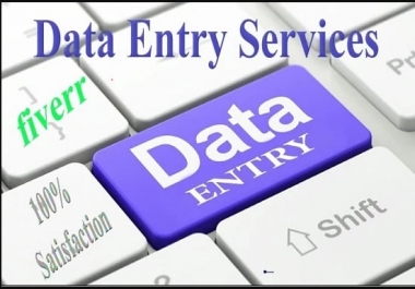 I will be your virtual assistant for data entry,  data mining,  copy paste,  web research