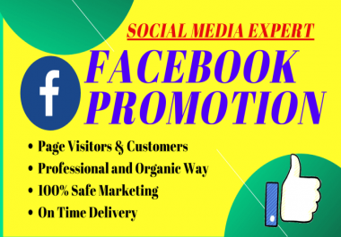 I will make and advertise a facebook page and google ads PPC campaign