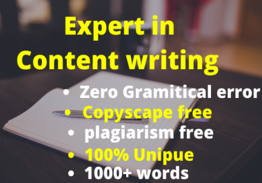 I will do 3000+ words affiliate product content writing