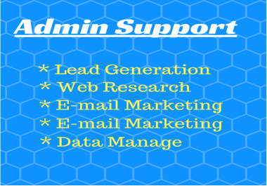 Administrative Support,  Virtual Office Assistant,  Data Arrangement