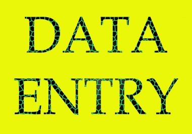 Any Type Of Data Entry Work Properly Complete