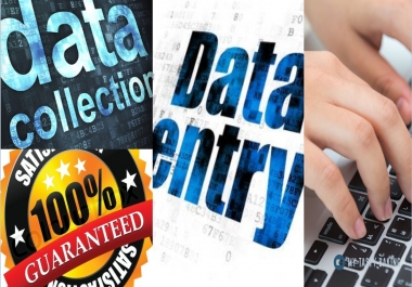 Any Kinds Of Data Entry And Data Collection In 24 Hours
